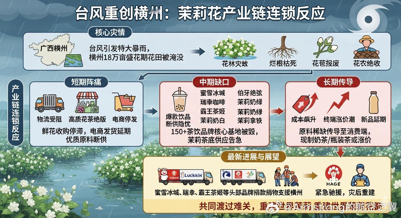 大量茉莉花报废产生连锁反应 台风“美莎克”带来的极端暴雨洪涝灾害，导致“世界茉莉