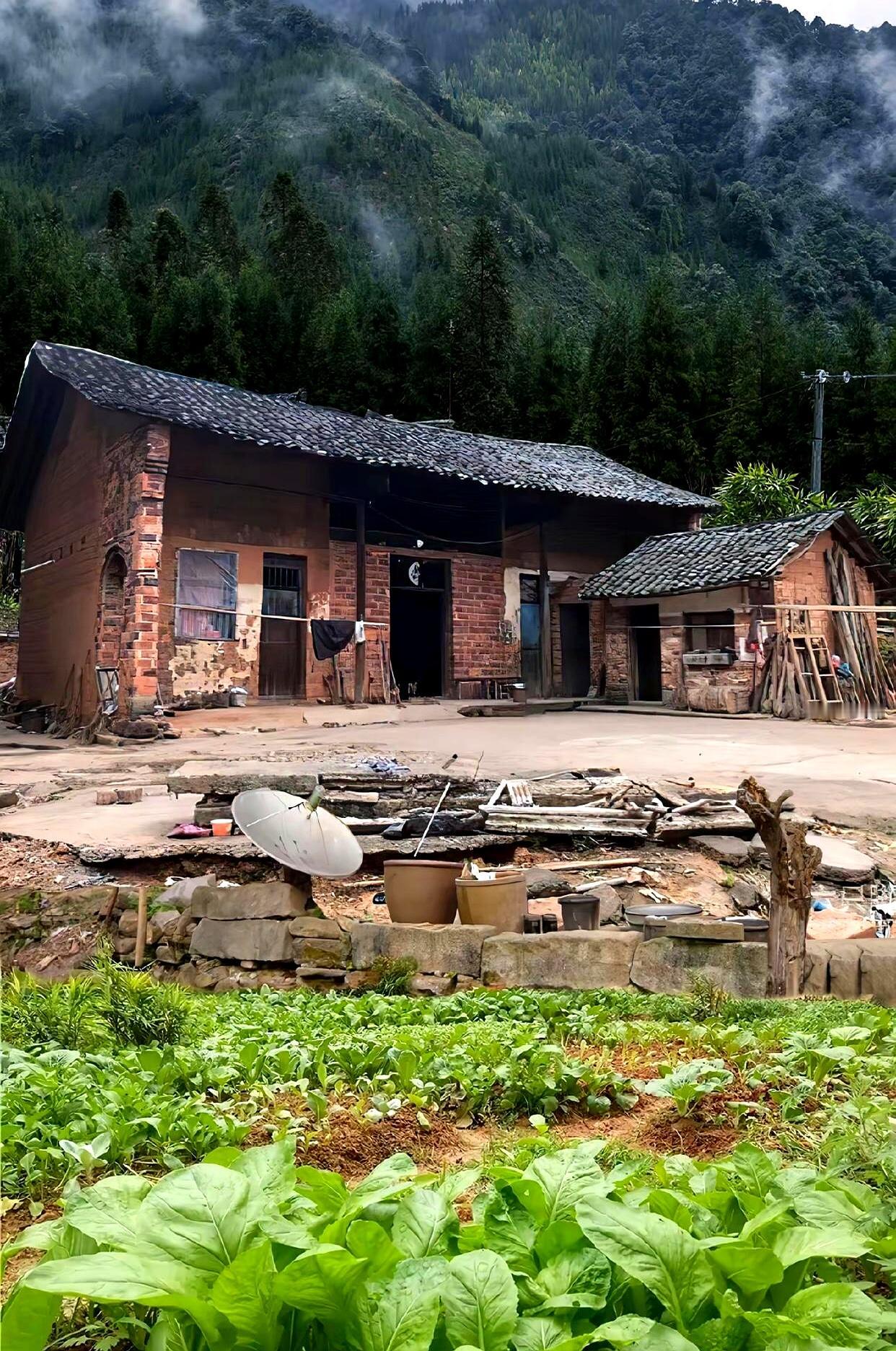 村里那个常年打老婆的男人，年轻时把日子过得像一锅烂泥。
大儿子看着家里那股子狠劲