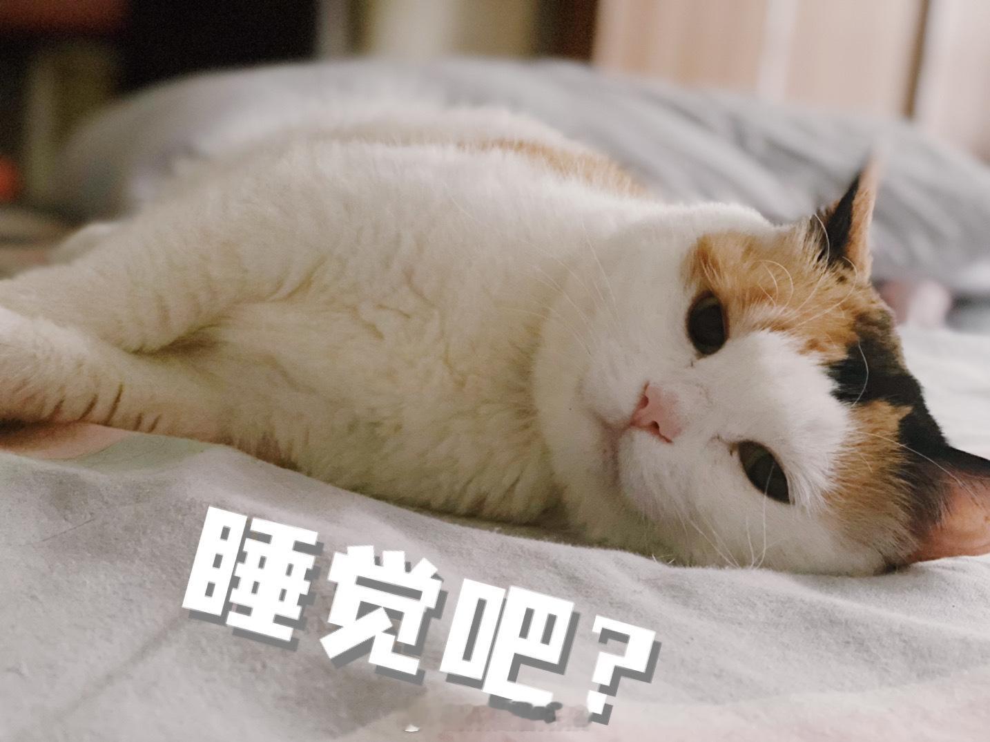 今年看过的新电影里，感觉比较好看的几个～⬇️⬇️⬇️《飞驰人生3》《给阿嬷的情书