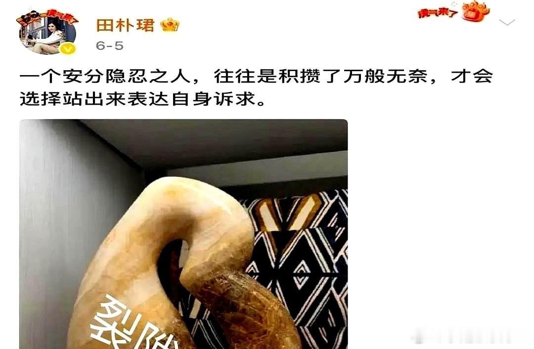 深夜的社交媒体上，田朴珺扔出了一张照片。 不是精致下午茶，不是豪宅窗外的夜景。是