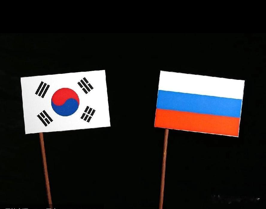 俄韩双方关系紧张！

俄乌冲突2022年起至今，已经持续了四年，冲突纪念日为2月