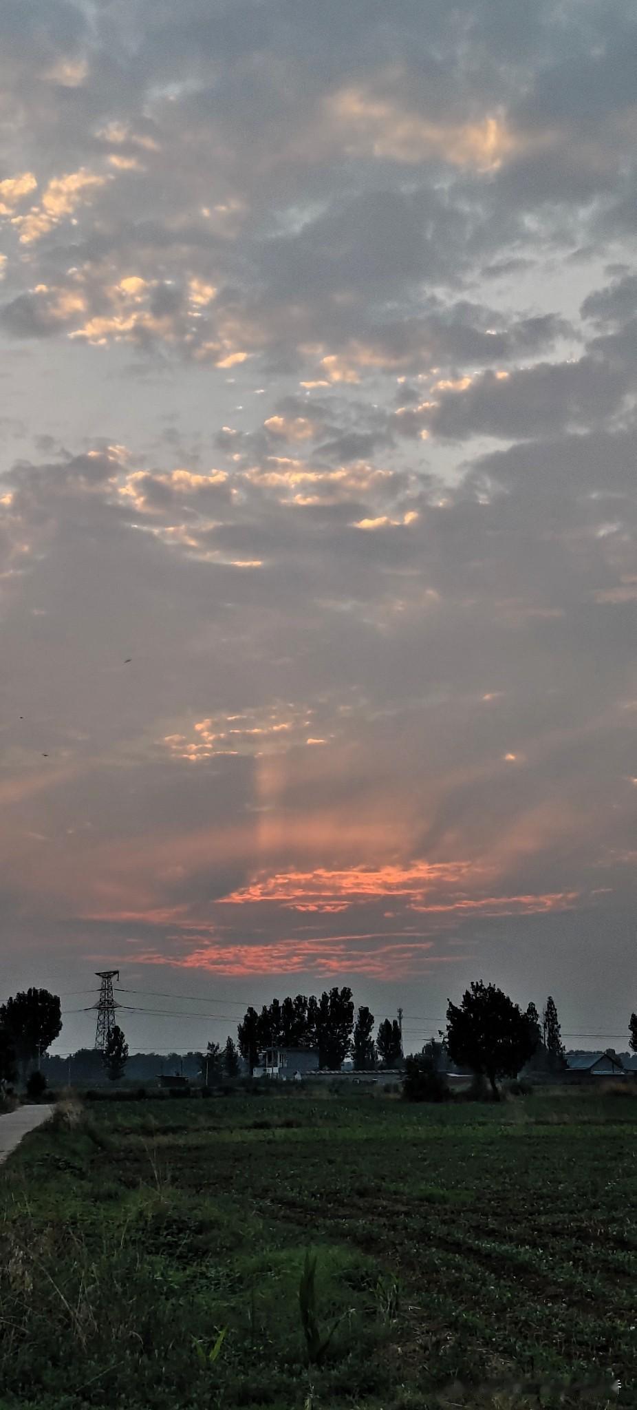 夕阳西下，田野静谧，感受大自然的宁静与美好。🌅🌾