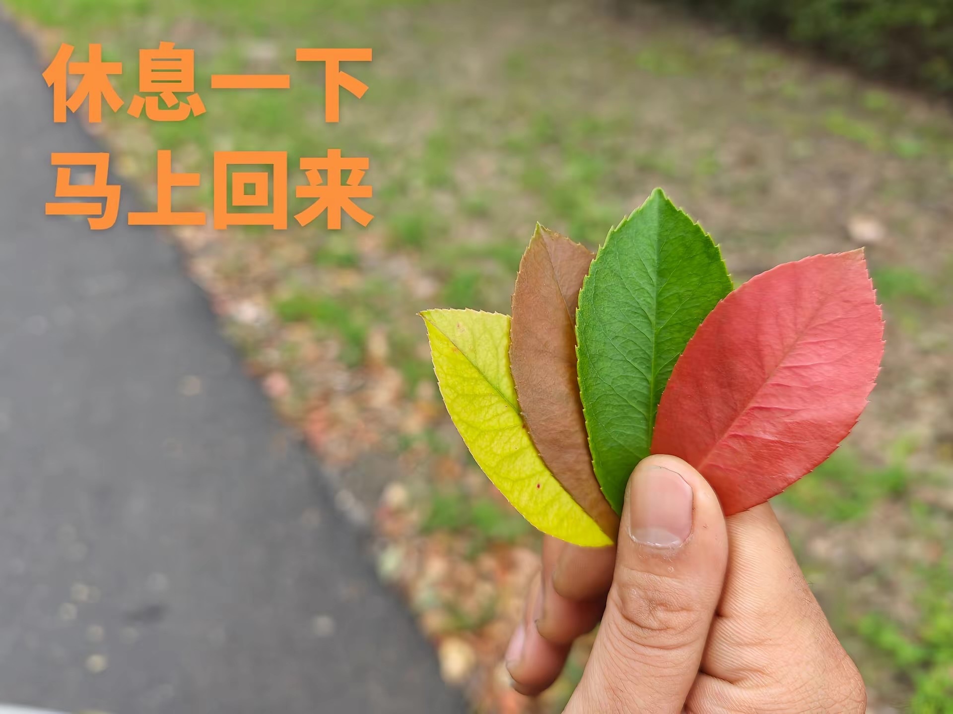 休息一下，马上回来 ​​​