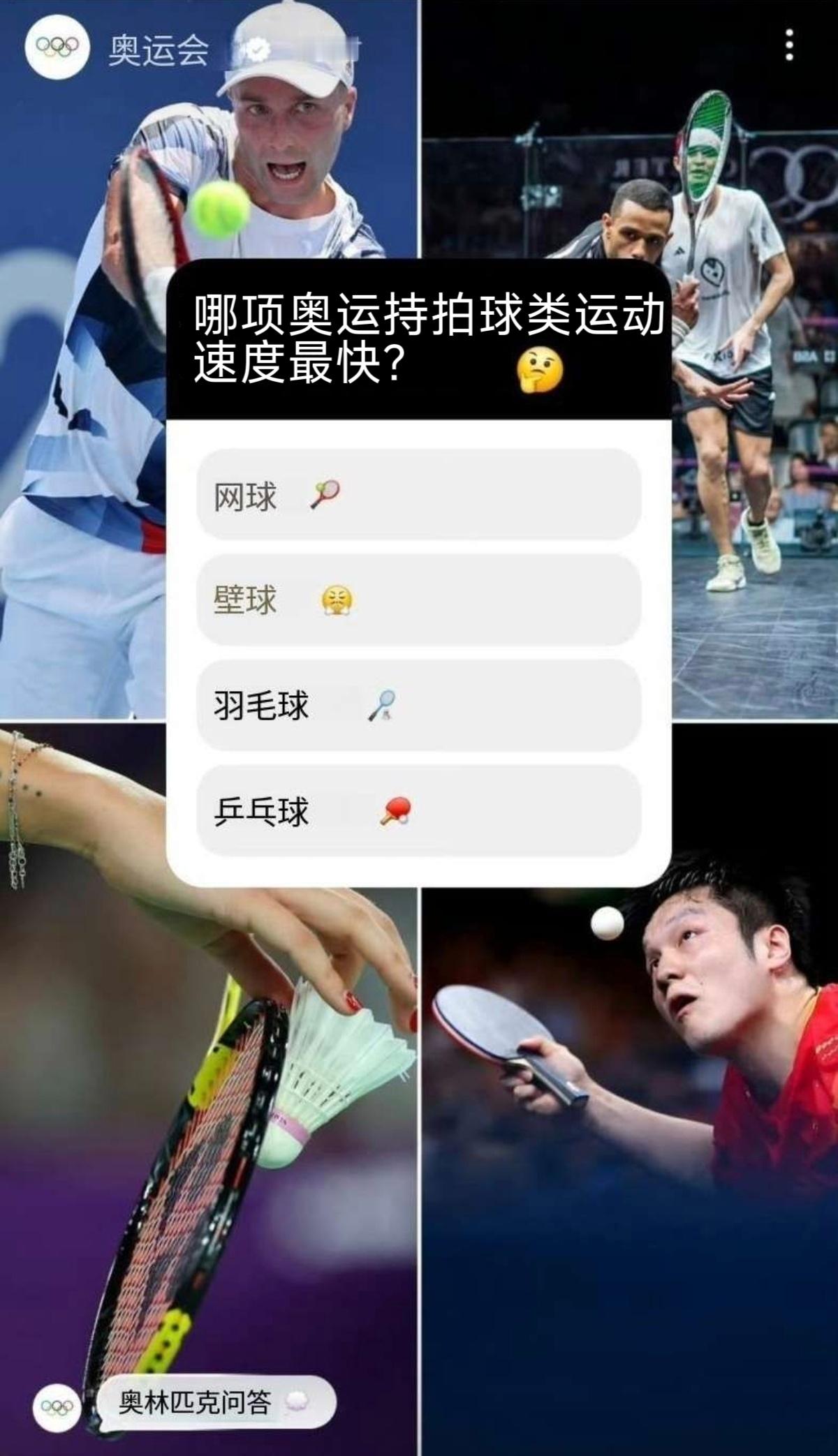 🏓乒乓球执拍者——樊振东 【奥运】 