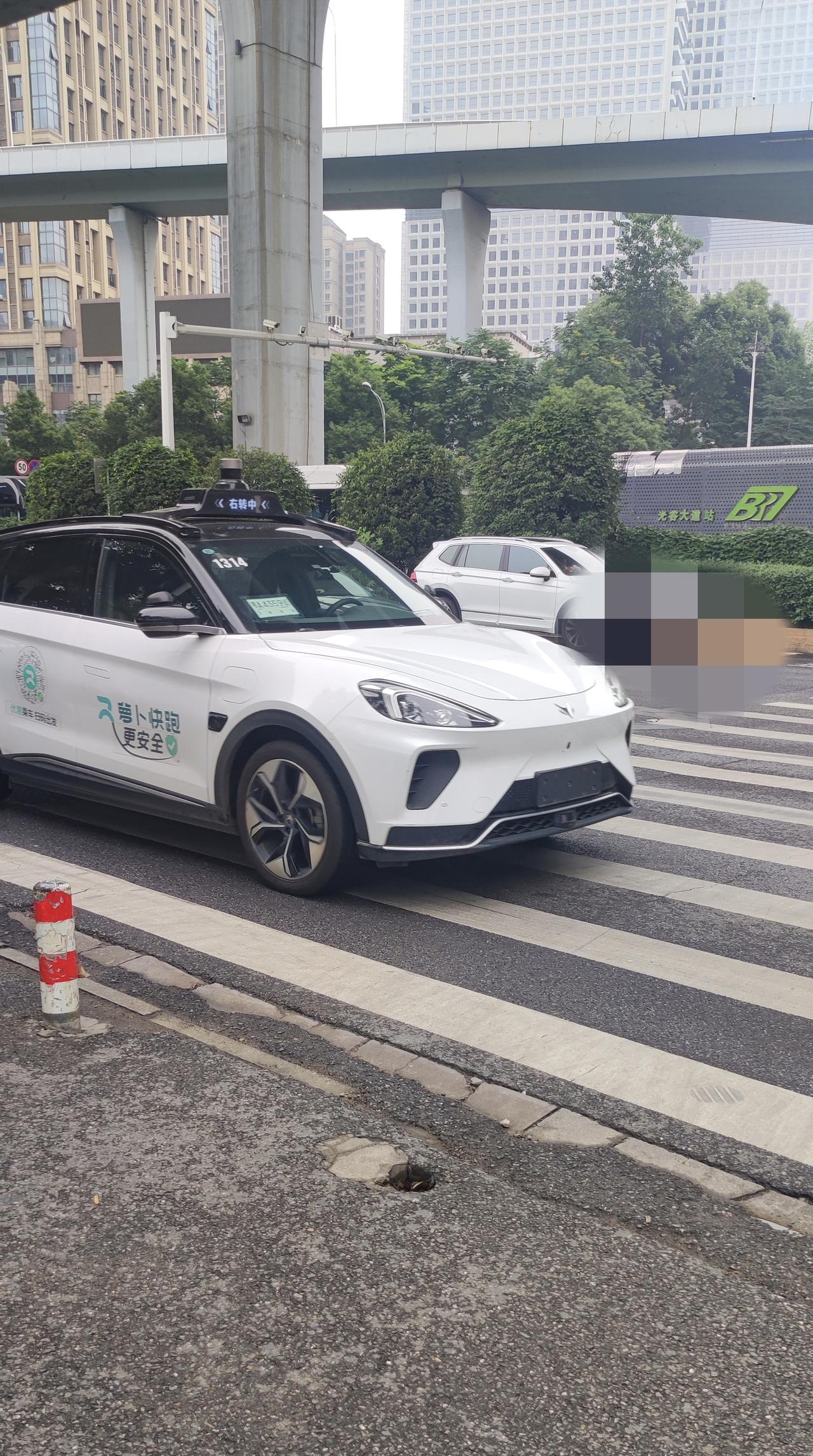 苕萝卜不苕了哦~你们都说它苕，可它偏偏最聪明，一直在学习，努力成为一名“合格”的