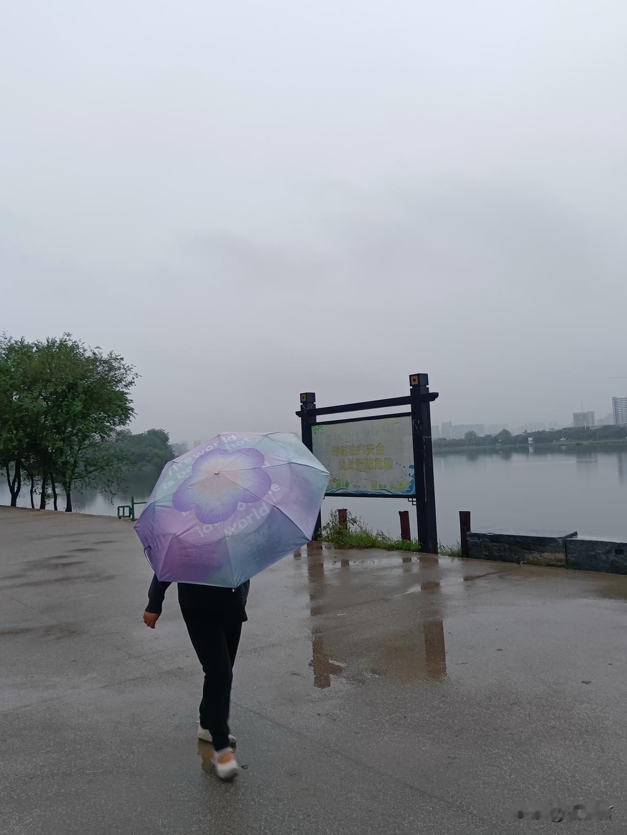 白河之湄  览物之情
（二十）、雨中漫步亦诗亦画

9月26   星期六  小雨