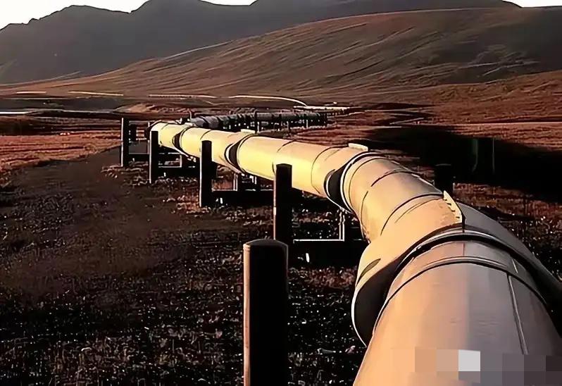 德国🇩🇪这下真要慌了。
有知情人士薄爆料，俄罗斯已明确通知哈萨克斯坦和德国，