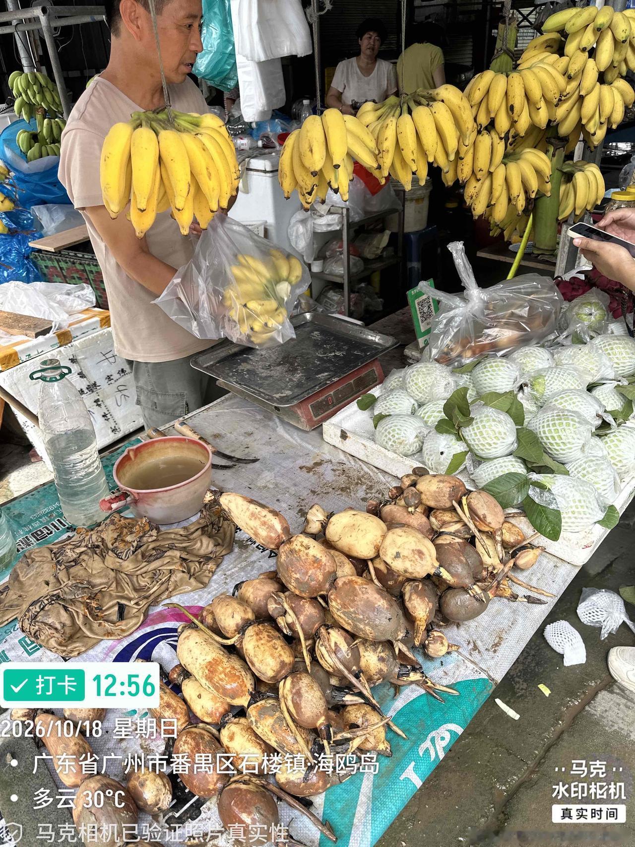 午餐后往海鸥岛买大闸蟹，上周在海鸥岛买的大闸蟹很好吃，所以今天继续前往购买。中秋