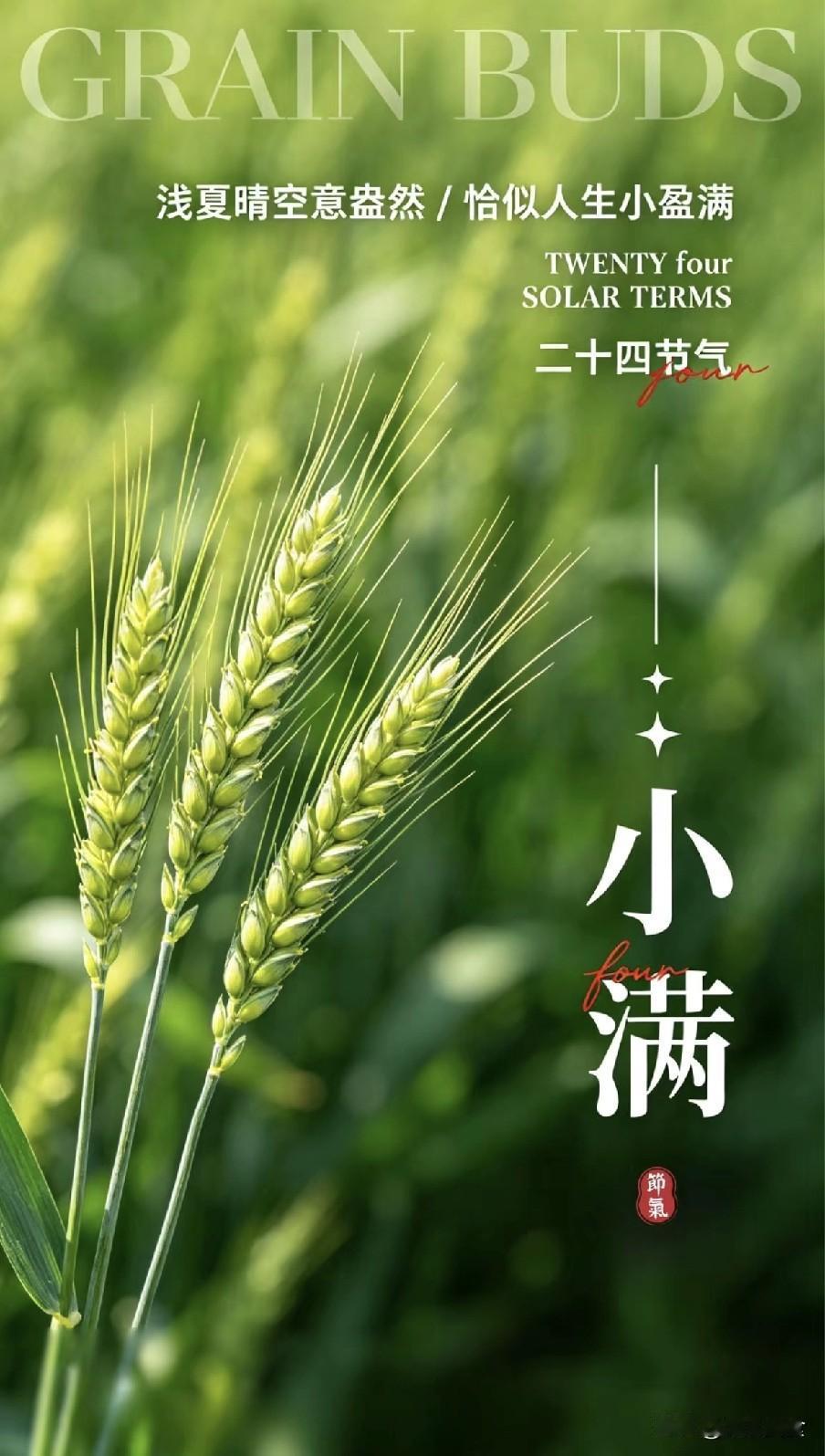 “上午小满，江河满，下午小满，旱断河”，今年小满啥情况？
 
2026年5月21