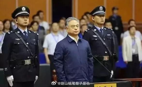 天津“武爷”落马！与4名警花有染，生了九个孩子，疯狂敛财74亿。天津警界的第一大
