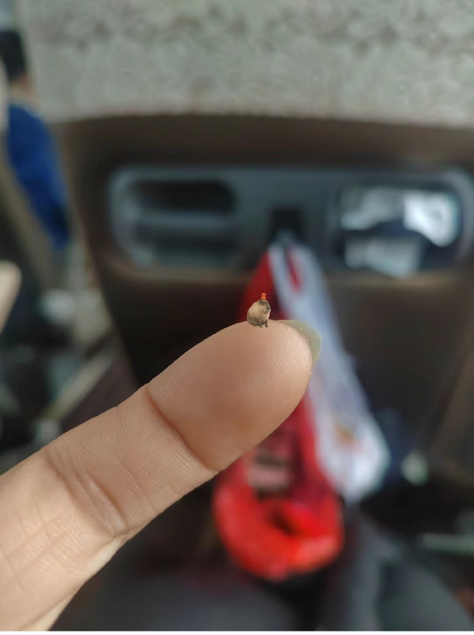 谁懂一下就把痘根扯出来的快乐？！ ​​​
