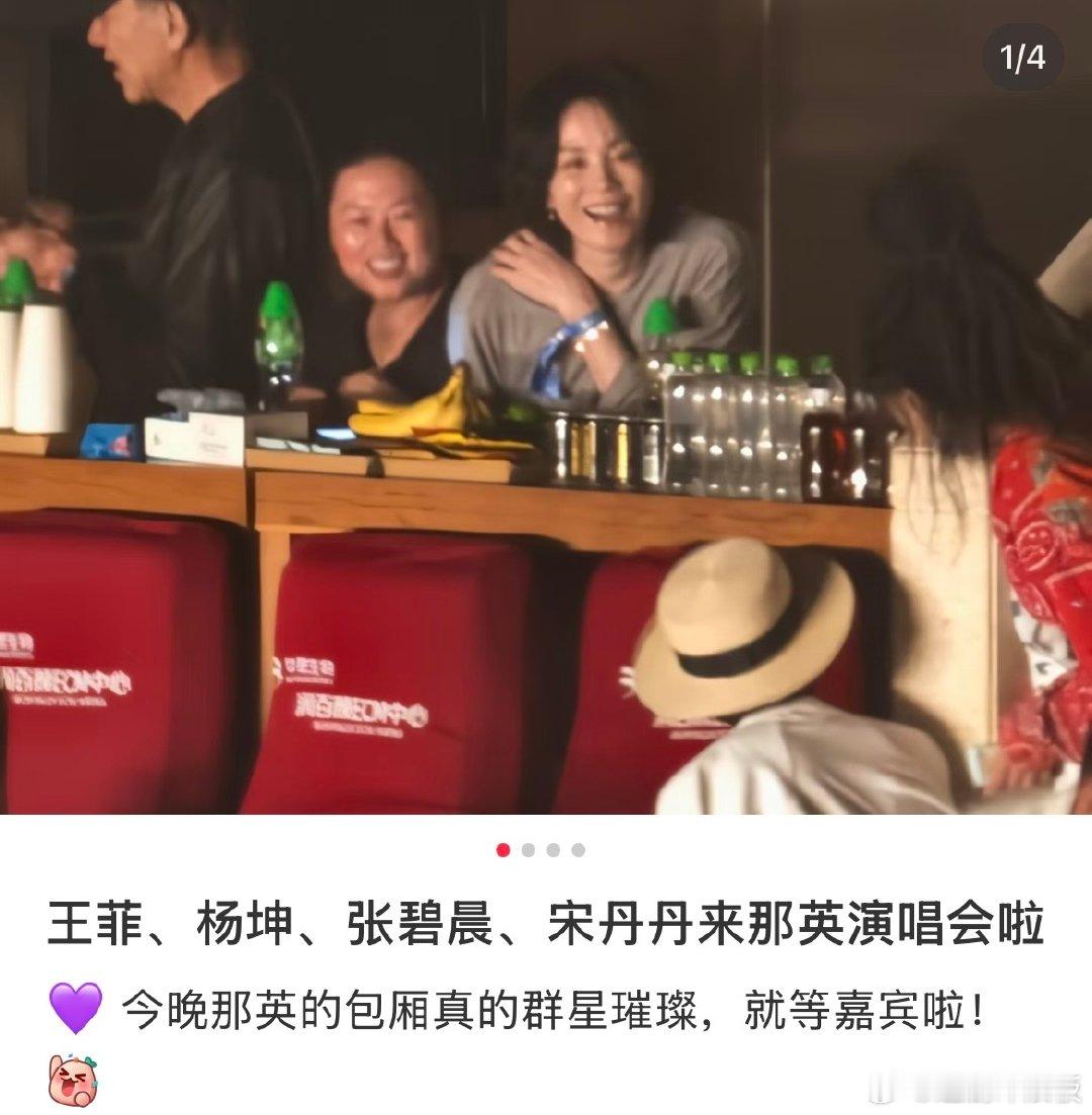 那英演唱会包厢群星璀璨 王菲、杨坤张碧晨、宋丹丹都去了！群星璀璨啊！！ 