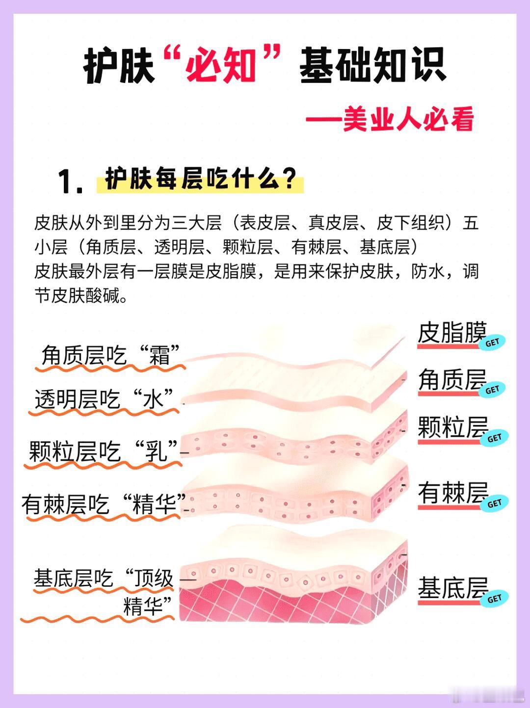 护肤小白必知干货搞懂皮肤每层吃什么 ​​​