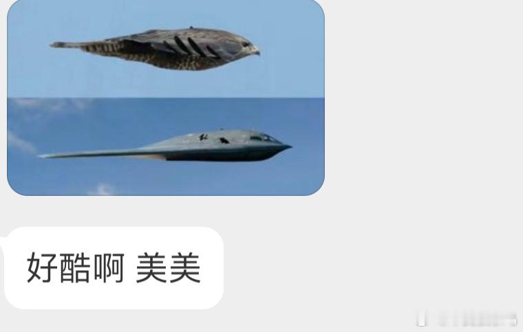 一模一样！ ​​​