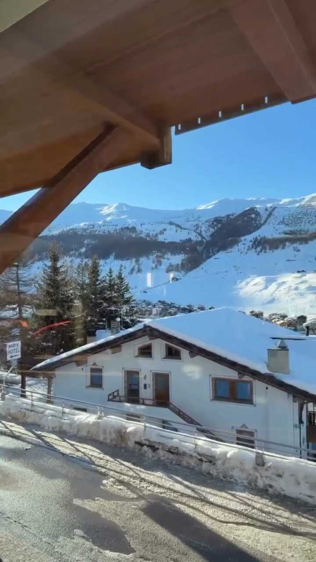 樊振东请大家看雪 