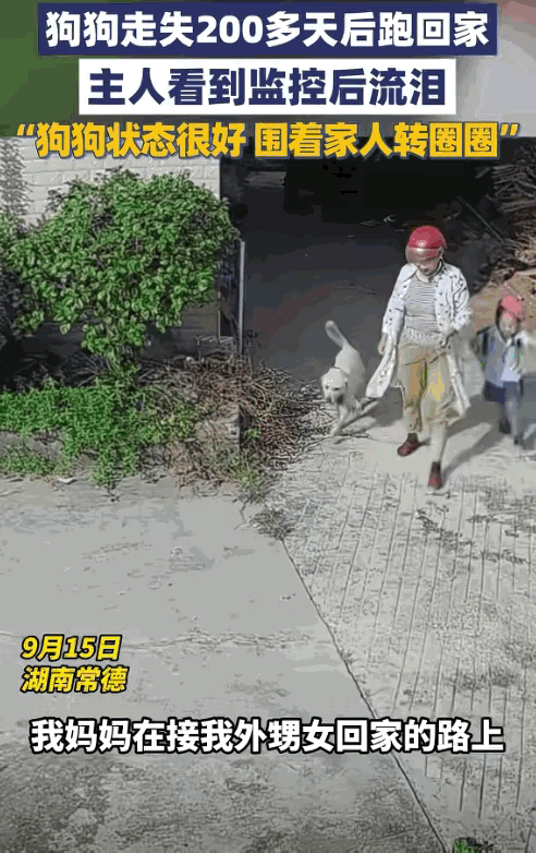 湖南女子接外孙女放学，遇走丢200多天的狗，一声呼唤狗狗扑进怀里

“这就是命啊