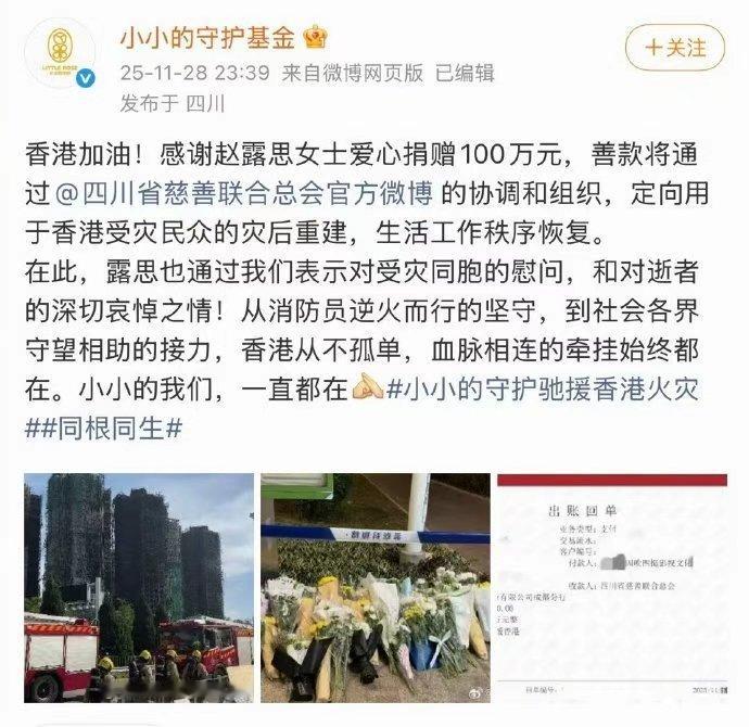 赵露思捐100万赵露思香港捐款100万 赵露思捐100万，赵露思通过四川省慈善联