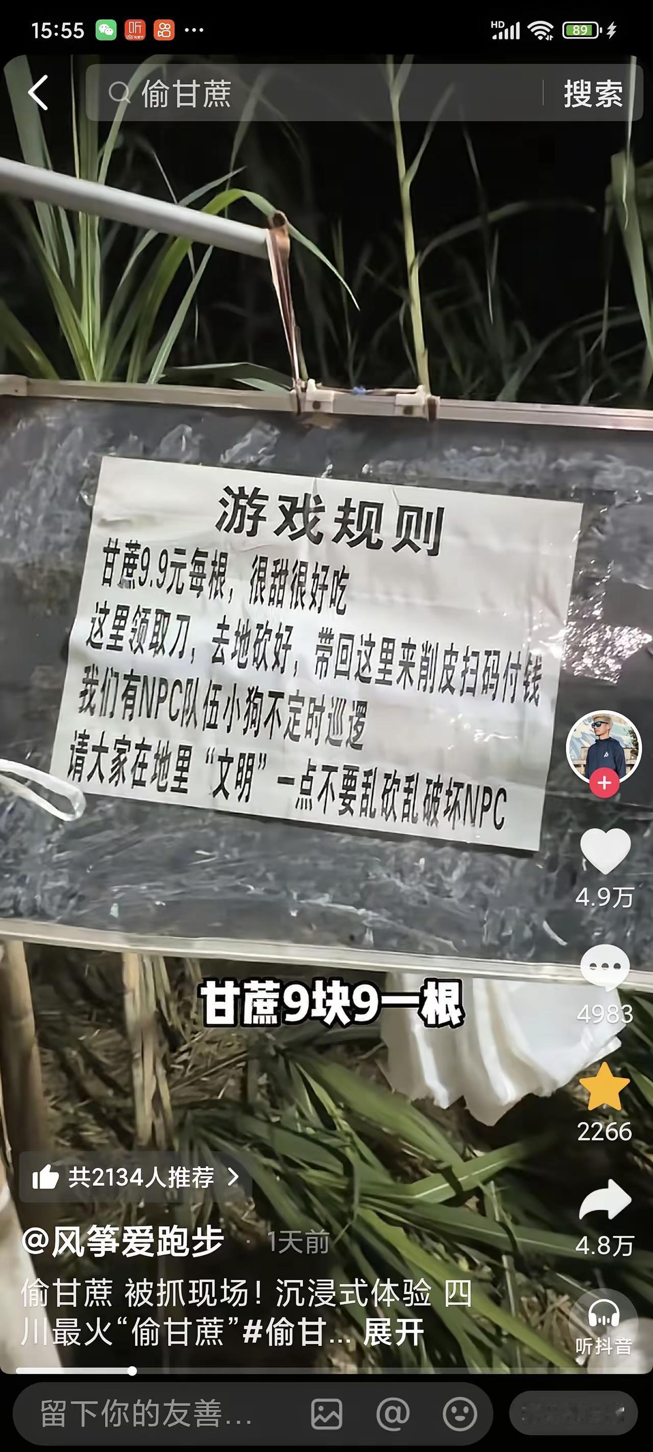 谁能想到？“偷甘蔗”居然成了顶流网红项目！四川眉山的甘蔗地天天人山人海，游客猫着