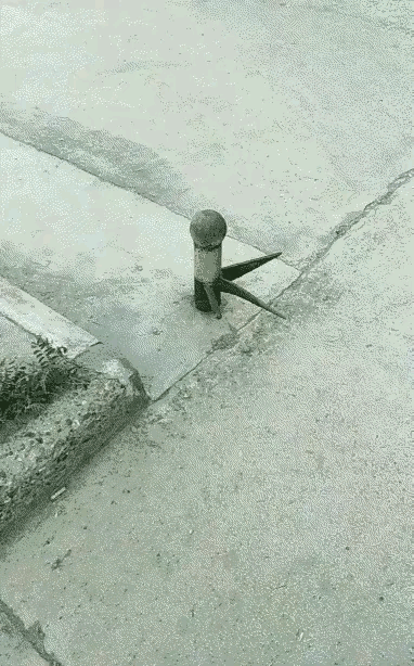 这家伙“狠”！
这样的预防措施也太凶险毒辣了吧？得什么心思才能想起来如此狠招，让