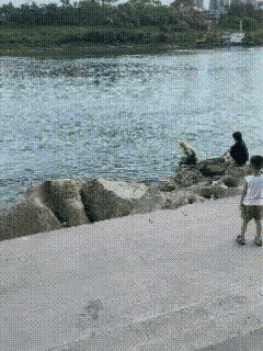 这是一段6月3日下午溺亡女孩下沉前面的最后情景，女孩虽然命悬一线，但还是有生还的