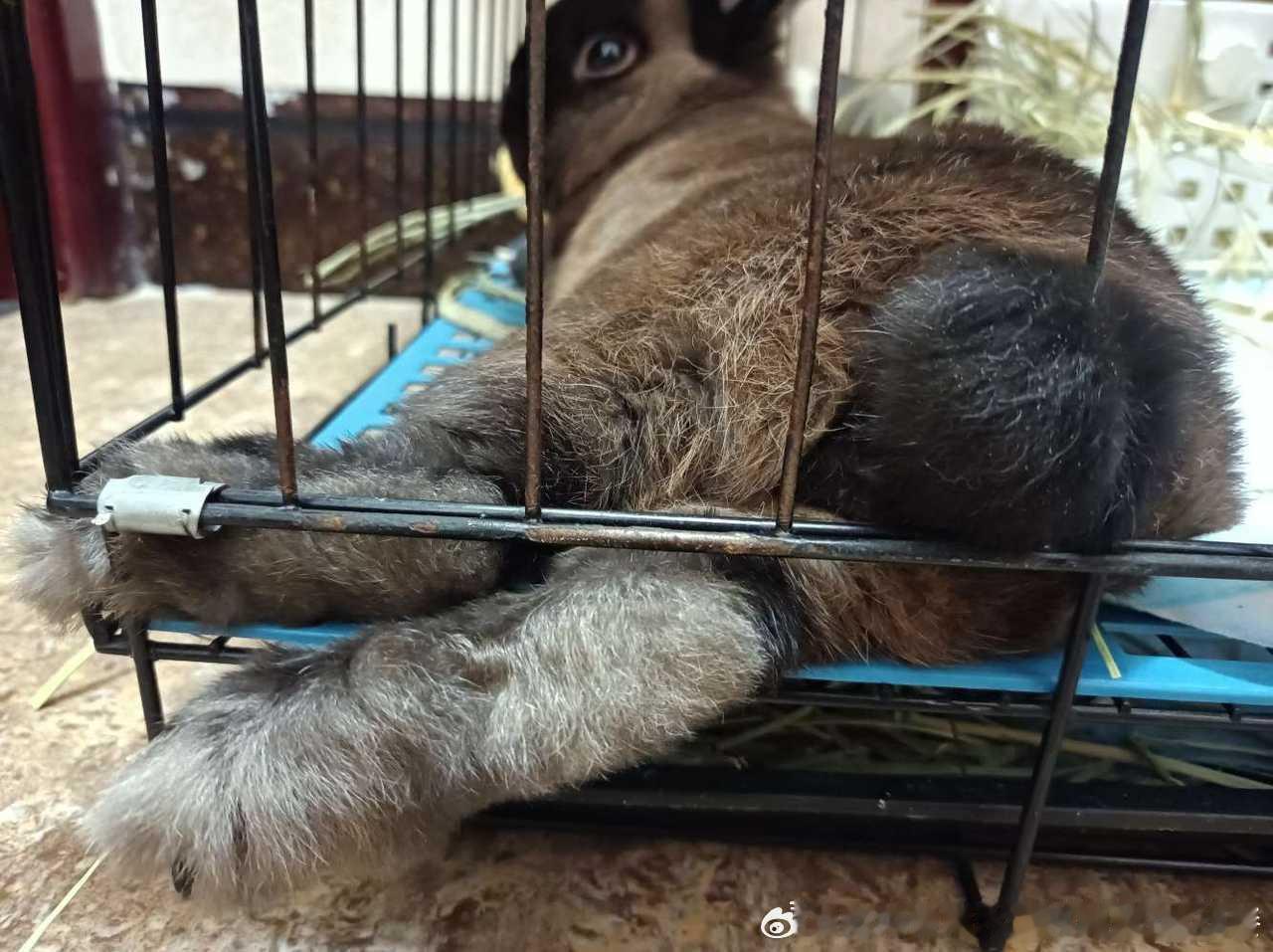14147🐇【测你就发这个图什么也不要说】 