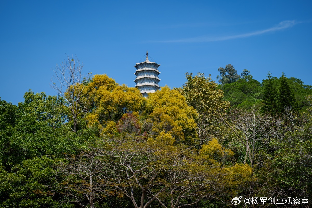 农业赛道难获风投？因为它本就不该走“烧钱换规模”的旧路。投入大、周期长、附加值低