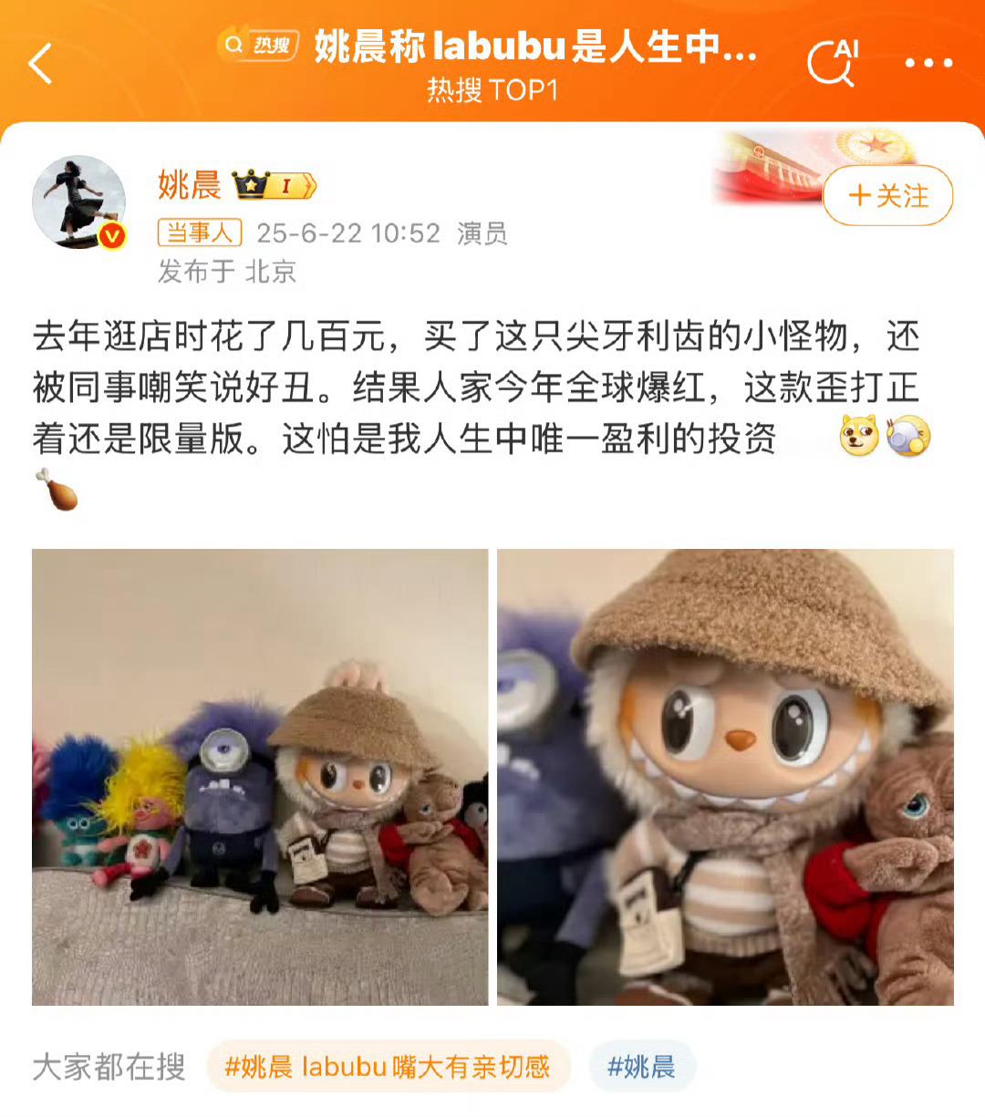 姚晨称labubu是人生中唯一盈利的投资 我前段时间买的拉布布都翻倍了，但是跟风