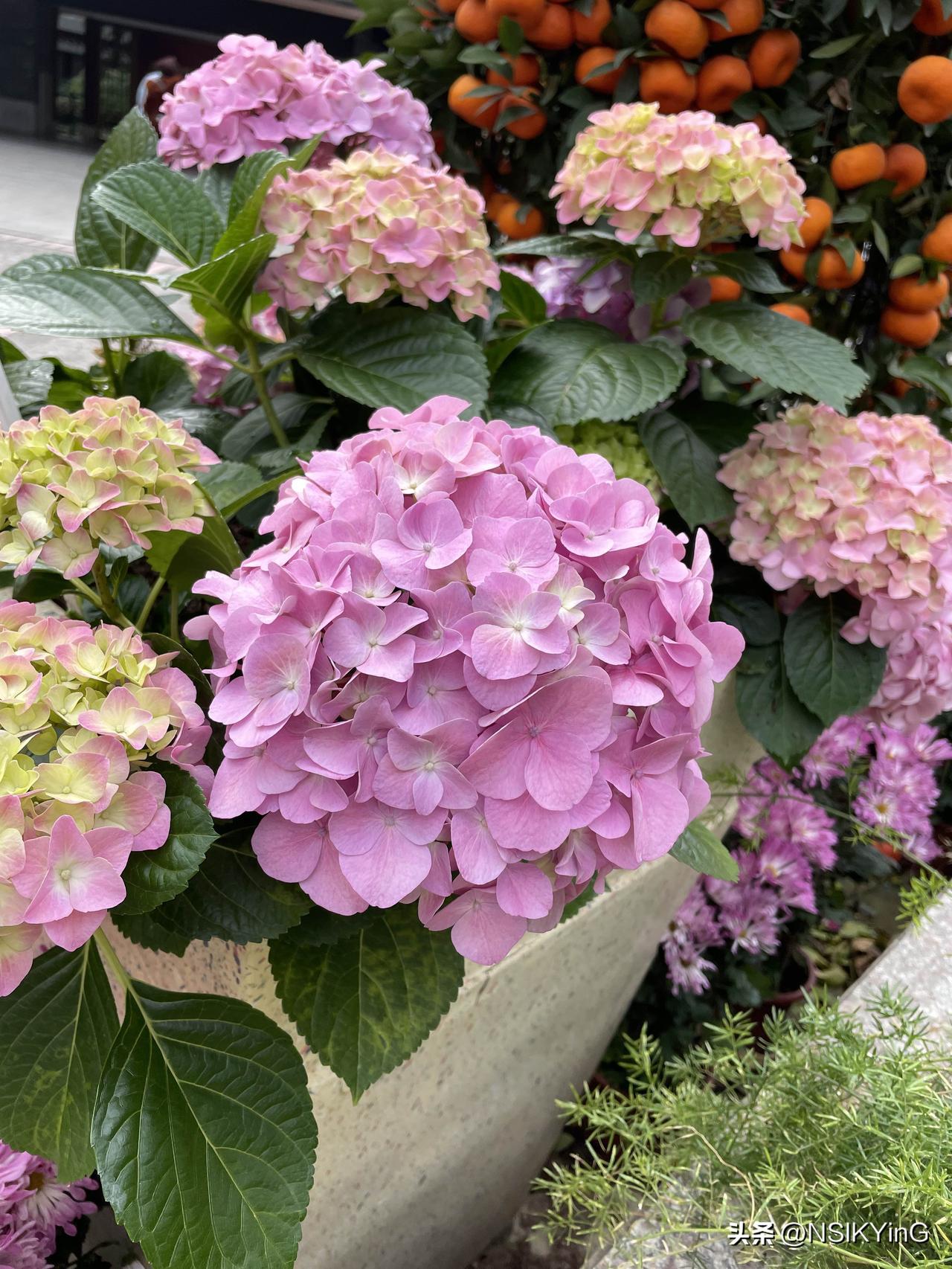 上联：醉里吟诗诗有味
下联：花前赏月月无痕