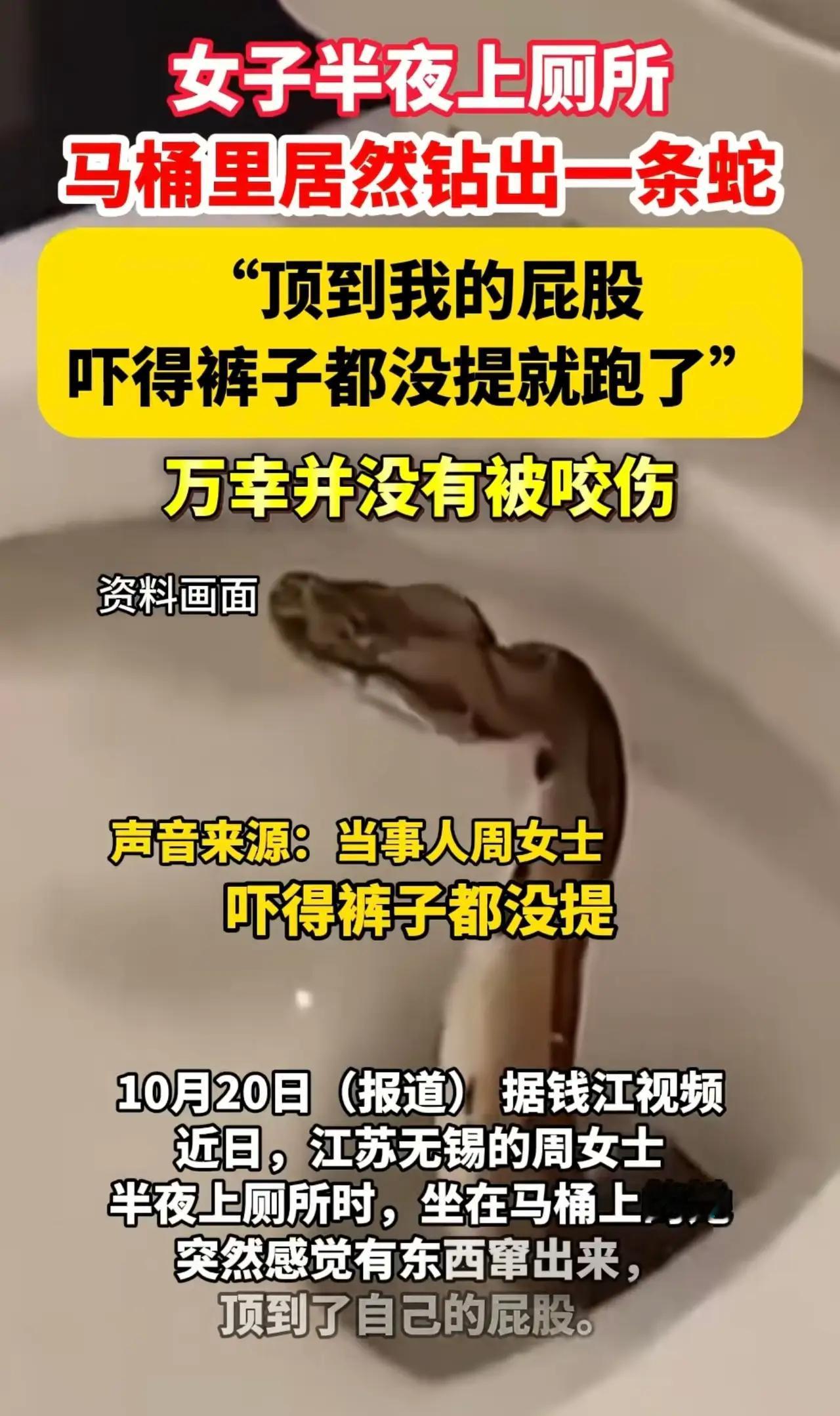 ……四目相对！一声撕心裂肺的尖叫划破寂静的夜空，李女士几乎是连滚带爬地冲出卫生间