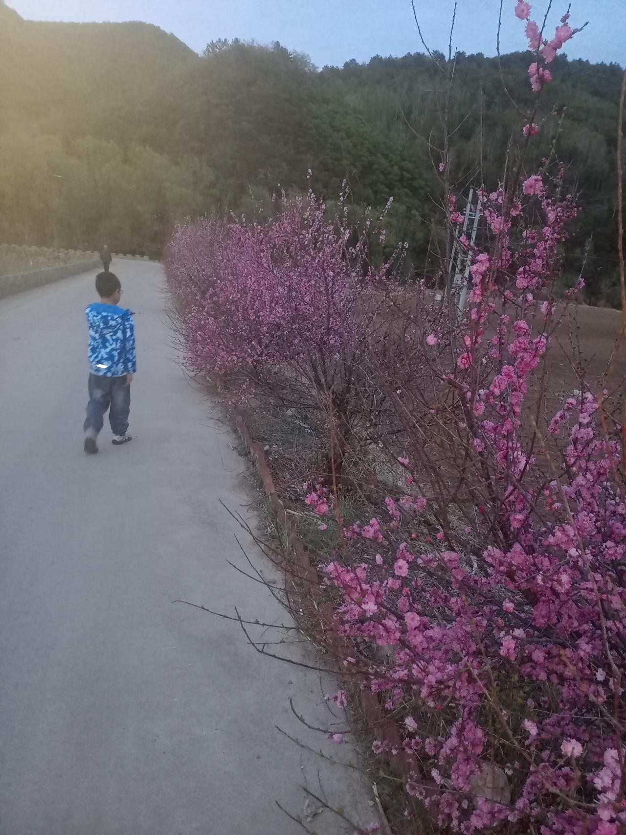 我认为快乐重要。

孩子实在不愿意学习，强扭的瓜，不甜。玩的倒是挺开心，那就让他