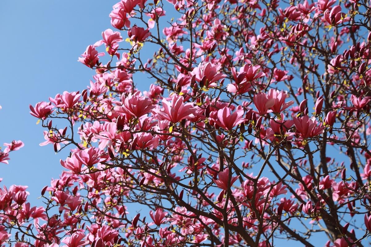 在某个年纪之前你可以靠透支身体，小聪明和老天给你的运气一直取巧地活着，然而到了某