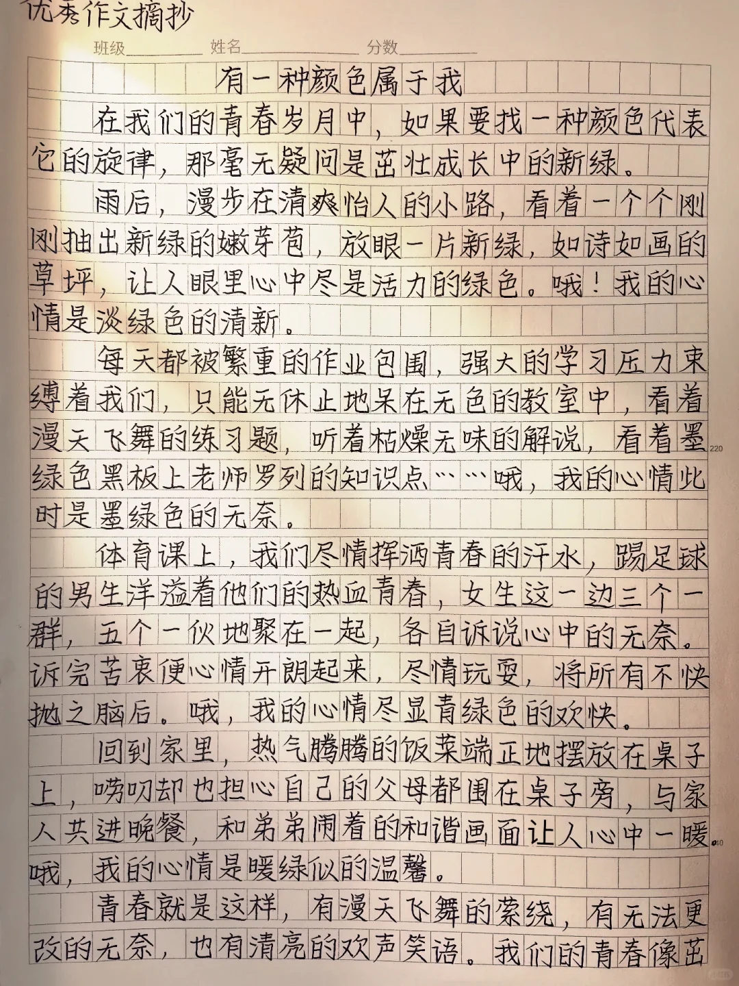 作文《有一种颜色属于我》
