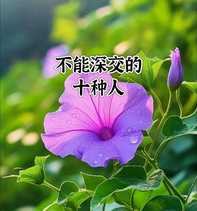 人到中年才懂：这10种人，千万不可深交，越早远离越幸福
 
       我发现