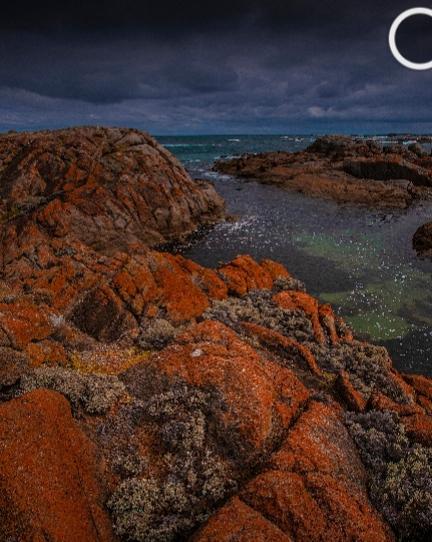 我去过澳大利亚，那感觉就像一场戒不掉的瘾。
澳大利亚地儿大，自驾是个好选择，不过