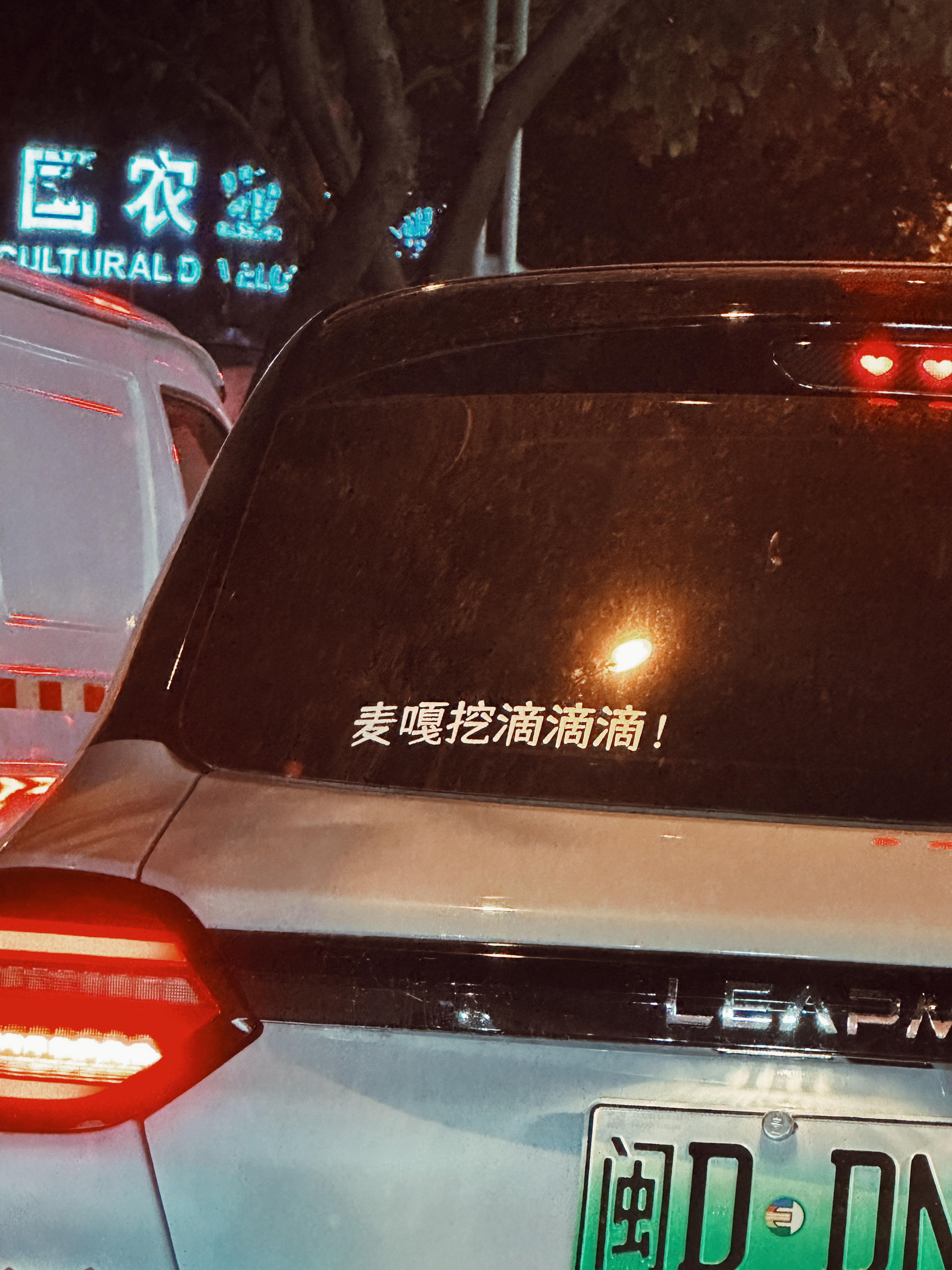 小黄的不减肥PLOG2024日记（10/100） ​​​