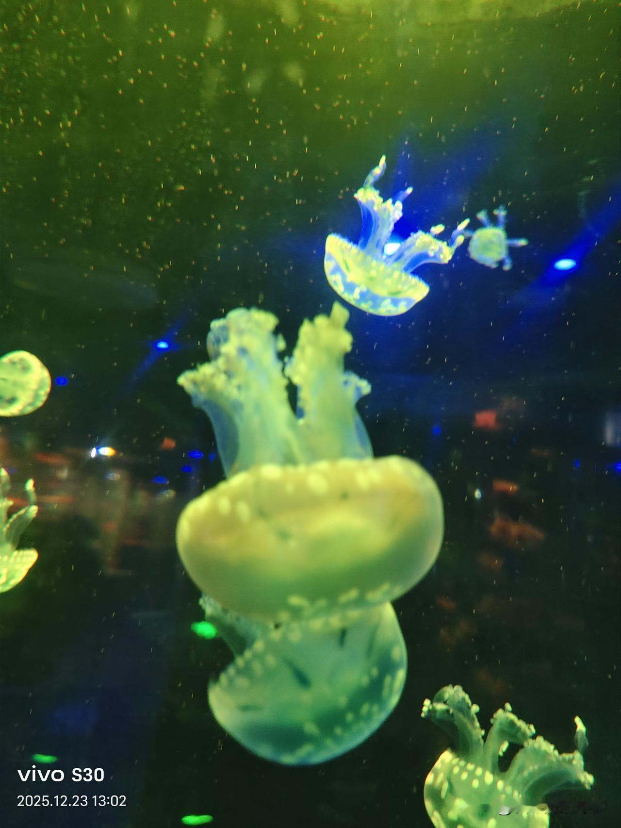 冬日生活打卡季