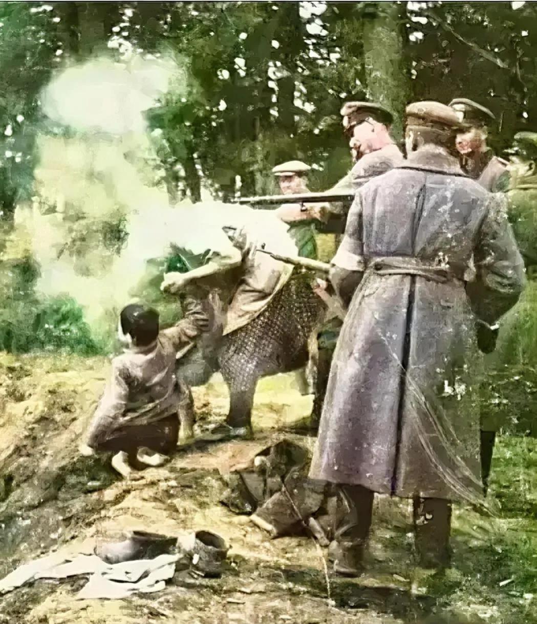 1942年，乌克兰，纳粹统治下，一对犹太母子惨遭处决，这是他们留在人世间的最后一