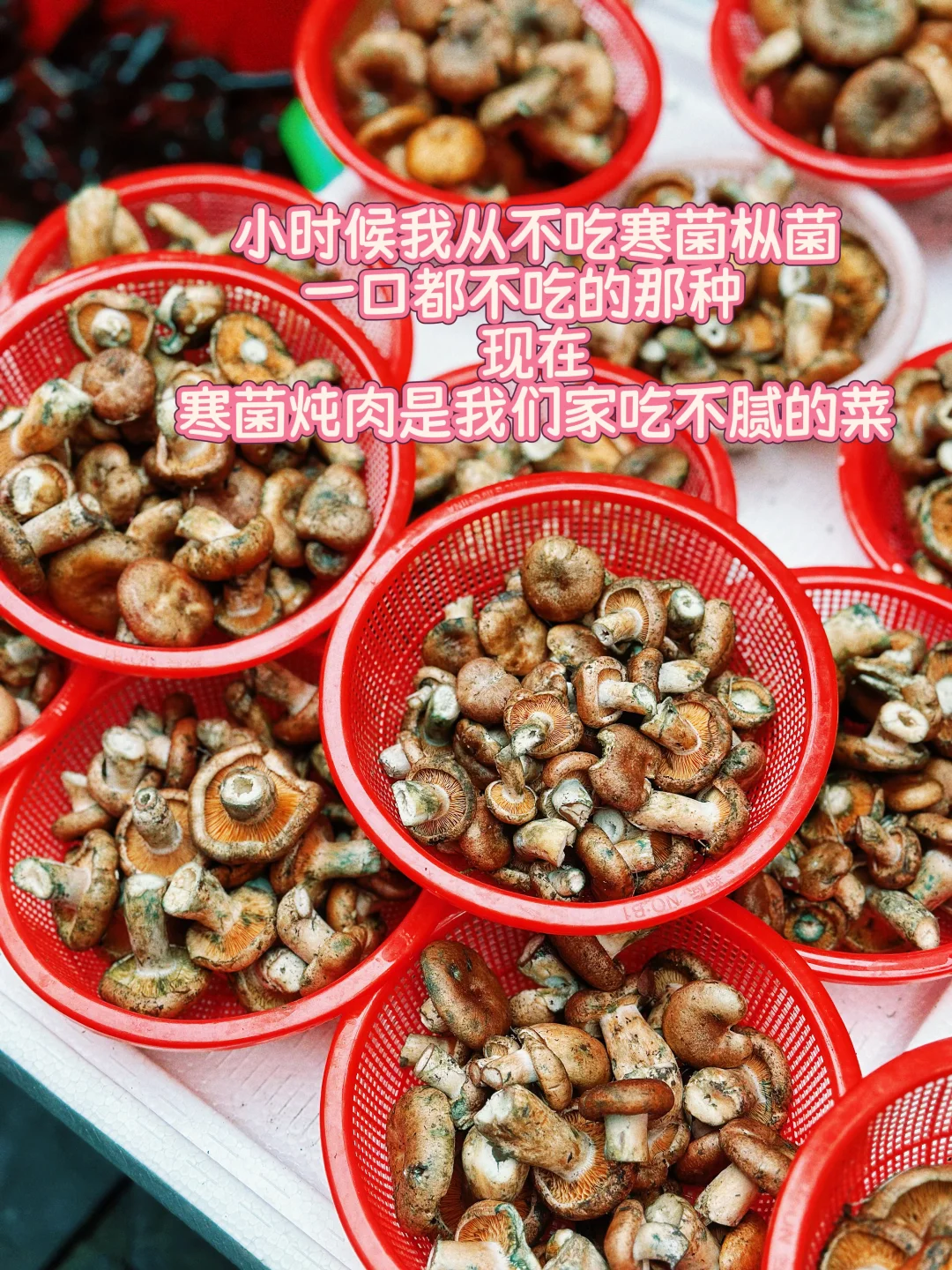 热气腾腾的菜市场是我的爱