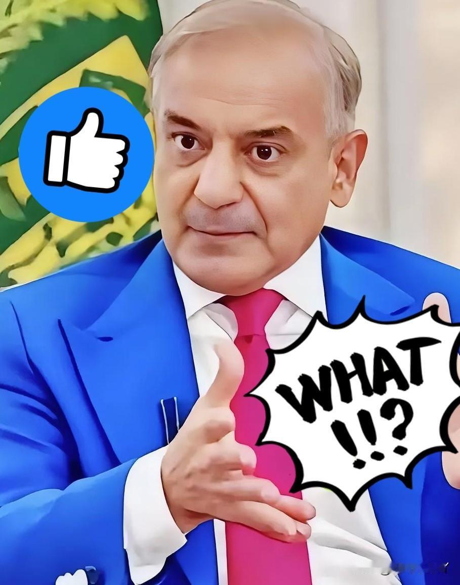 就在今天，

巴基斯坦正式宣布了！

11月23日，巴基斯坦总理谢里夫宣布了一个