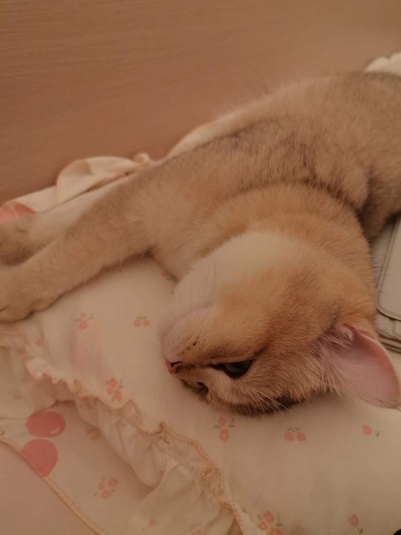 讨厌一个人，有必要翻脸吗没必要，就当他不存在好了，翻脸需要好大的心力，怪累人的