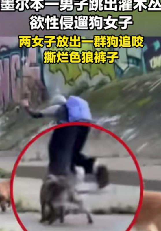 “活该！”一男子躲在灌木丛里，看到2名女子遛狗，他见色起意，从灌木丛蹿出来，抓住