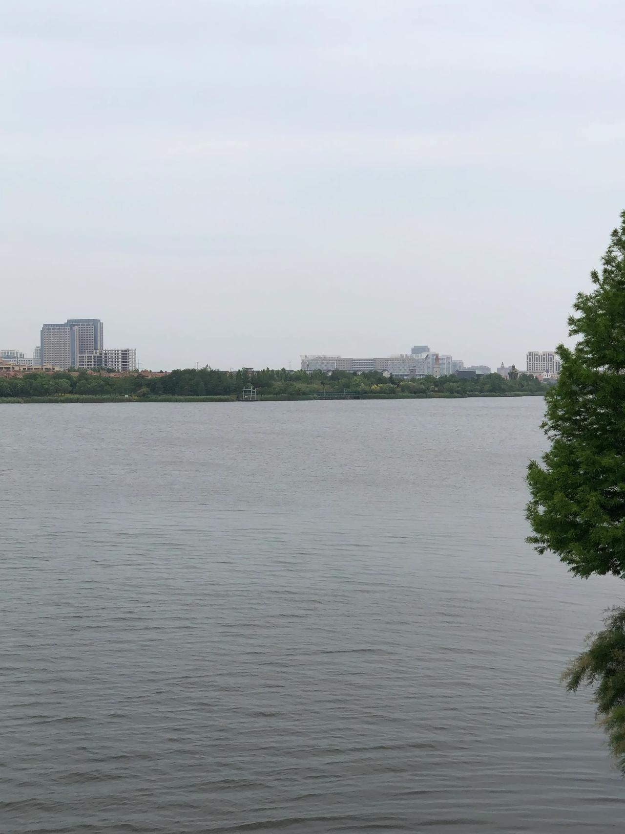 今日阳光灿烂
3～16度
阳光☀️明媚时 
适合外出旅游
大美春天
万物灵动
青