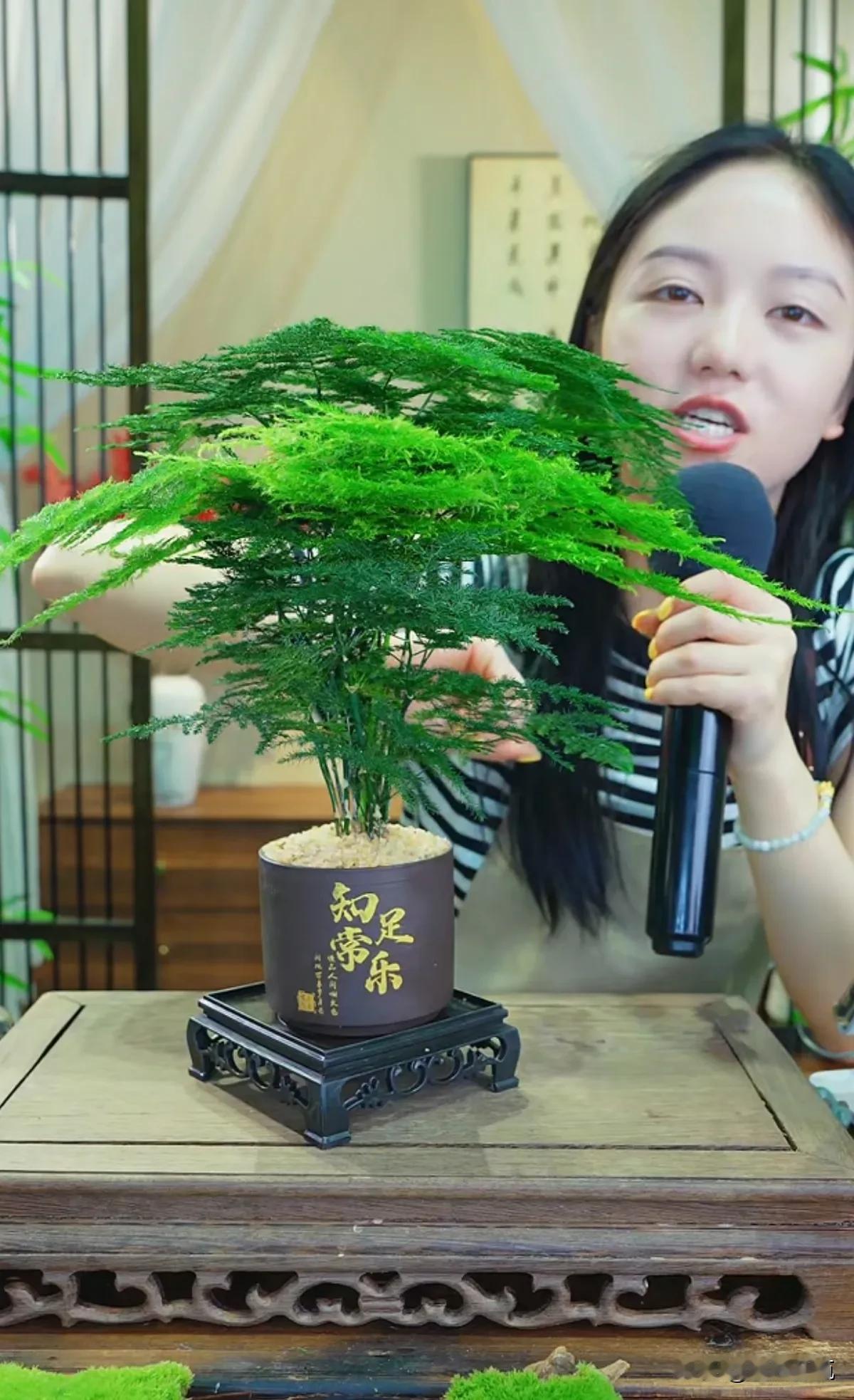 大家有没发现，不管你是线上还是线下购物，翻车第一名的大概率是绿植？
你看到的绿植