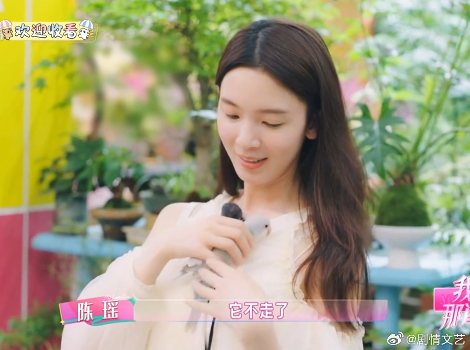 没有动物能拒绝陈瑶见证陈瑶和连云宝的互动瞬间，小鸟被她的声声细语吸引，丝毫没有戒