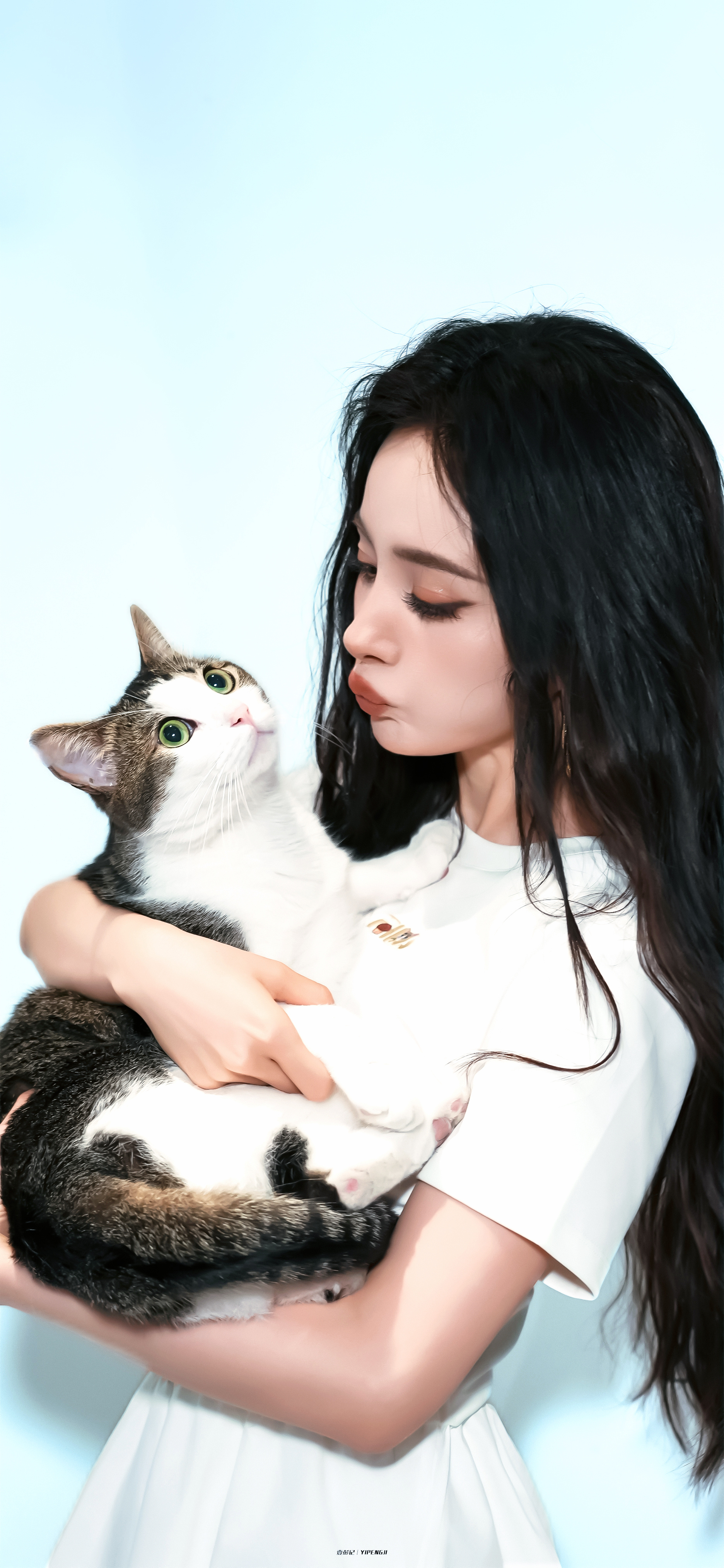 杨幂 · 𝙔𝙖𝙣𝙜 𝙈𝙞  
