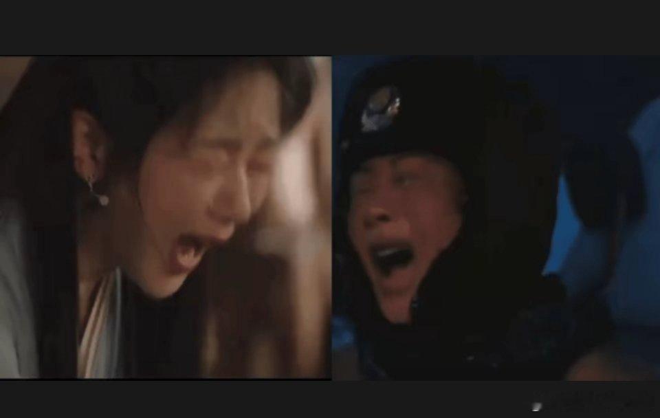 两次提名一模一样，白玉兰评委好爱 