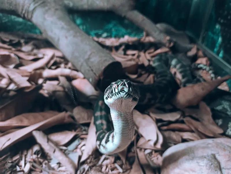 美以日霸权主义者自私自利，对这类人绝不能心慈手软，这就如同大家耳熟能详的《农夫与