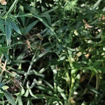 你付出的每一分努力都如同埋下种子，在岁月中默默扎根生长。当下所有坚持与汗水不会白