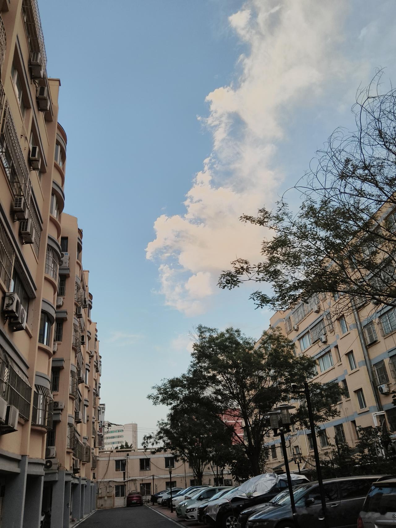 同学儿子和媳妇，都在济南工作，一个在大学，一个在医院。准备十月一结婚。

两个孩