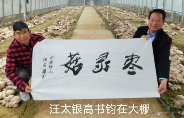 中国好人汪太银 冒雨新郑献爱心

3月17日早上，中国好人、著名书法家汪太银，受